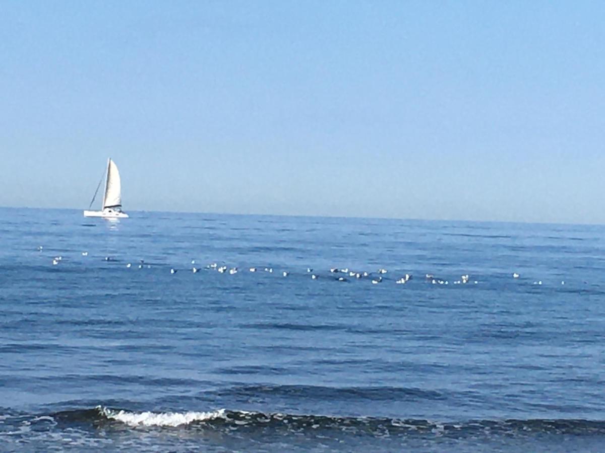 La Mouette Bleue Maison De Ville Individuelle Et Climatisee Martigues Eksteriør billede